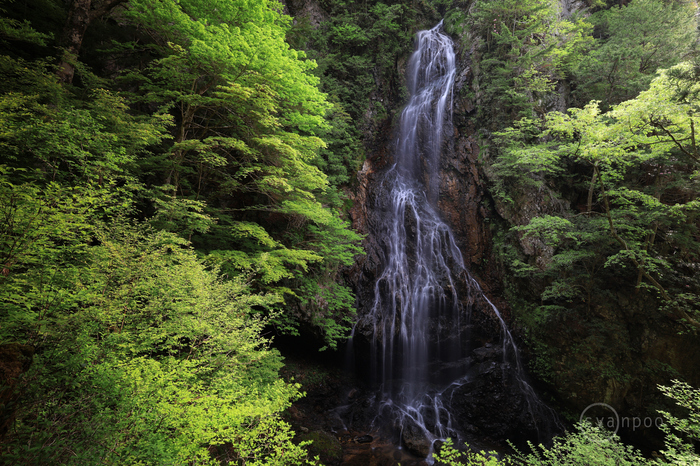 ✨秋の思い出を残そう✨CANON EOS 60D✨ダブルレンズ✨スポーツ観戦に✨ 🌐Fukushima prefecture(シモフリ新道) 【Autumn & Shadow